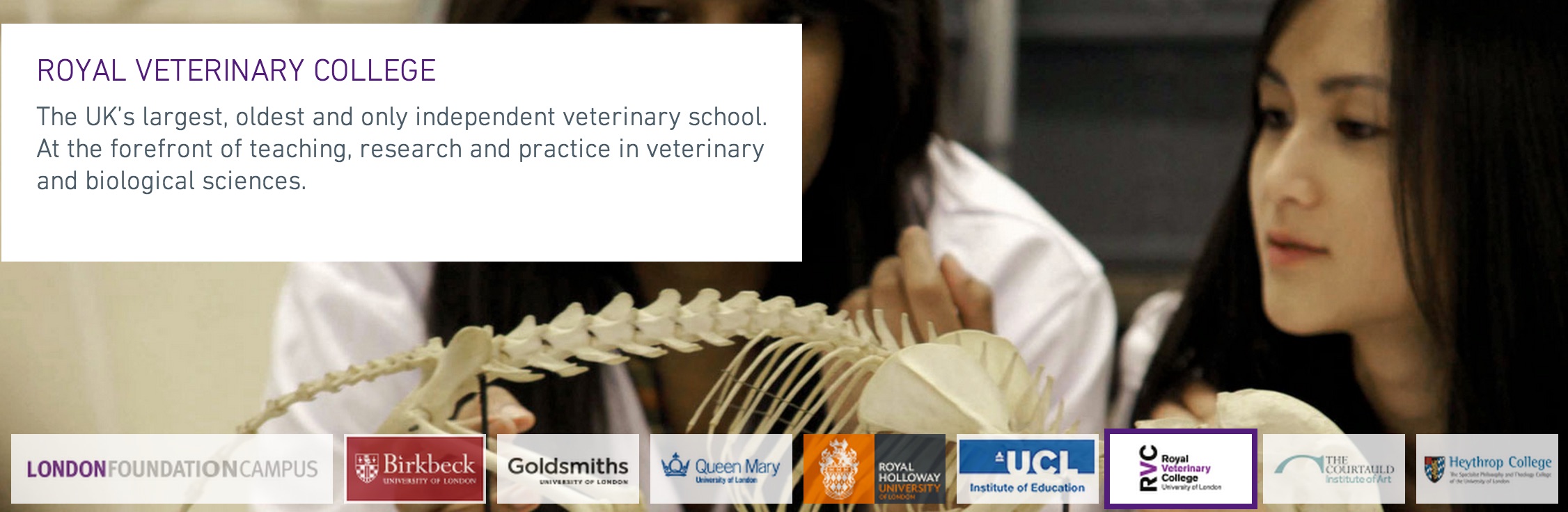 Progression_Degrees_-_Royal_Veterinary_College__University_of_London___London_FoundationCampus
